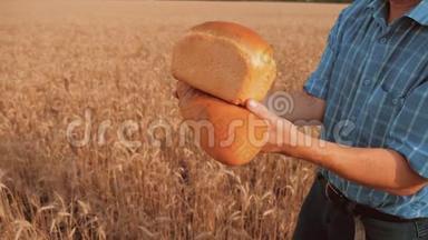 <strong>老农</strong>夫面包师拿着一个金色的面包和面包在麦田对抗蓝色的生活方式天空。 慢速视频